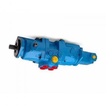 Yuken PV2R23-33-125-F-RAAA-41 Double Vane Pumps