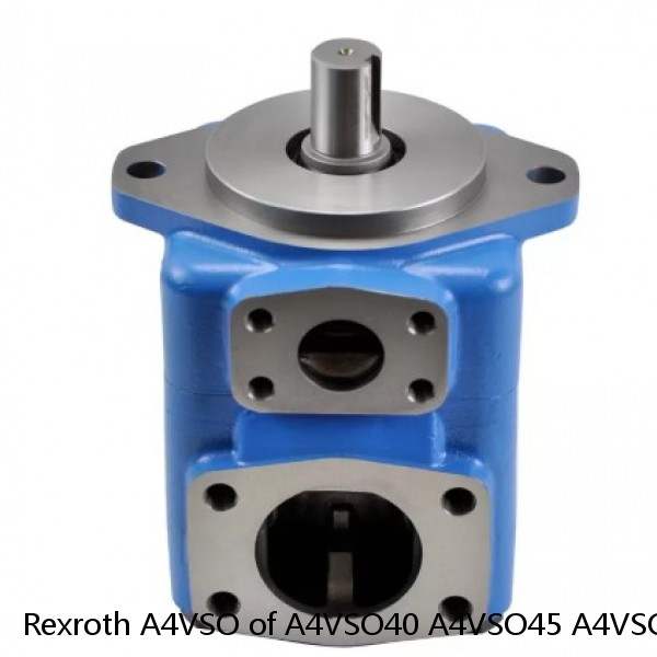 Rexroth A4VSO of A4VSO40 A4VSO45 A4VSO50 A4VSO56 A4VSO71 A4VSO125 A4VSO180 A4VSO250 Hydraulic Pump Parts