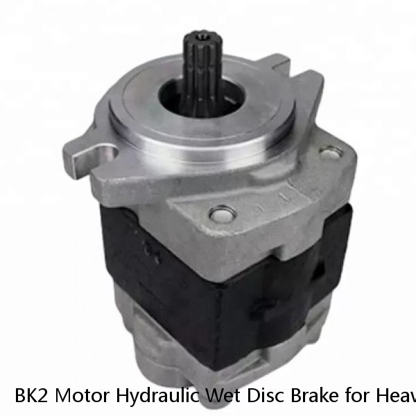 BK2 Motor Hydraulic Wet Disc Brake for Heavy Duty Machinery