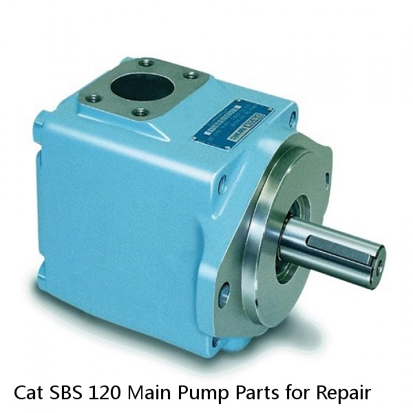 Cat SBS 120 Main Pump Parts for Repair