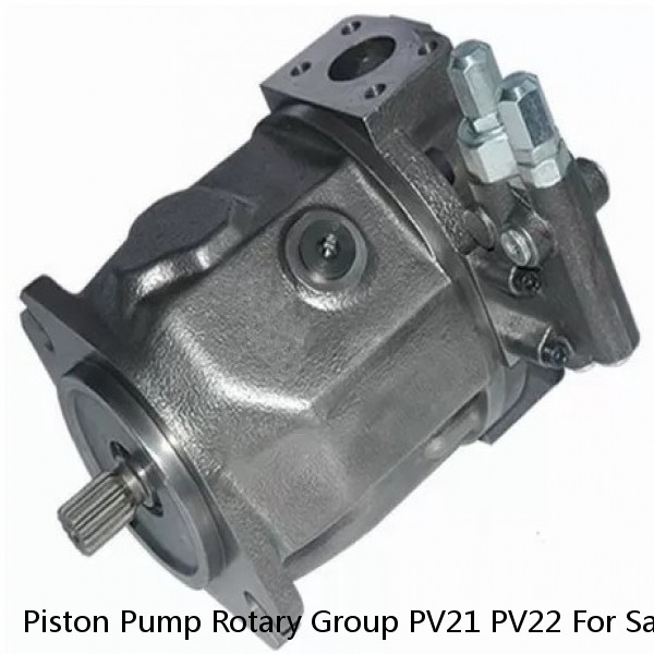 Piston Pump Rotary Group PV21 PV22 For Sauer Hydraulic Pump Parts